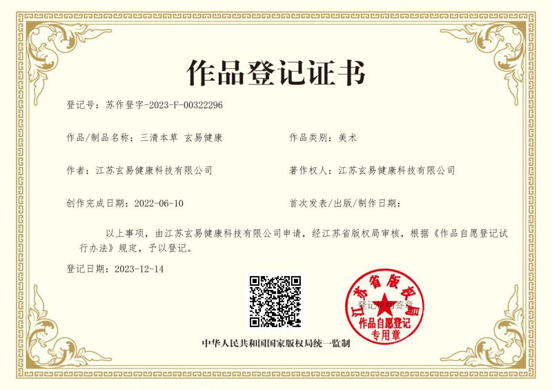 图标版权登记证书